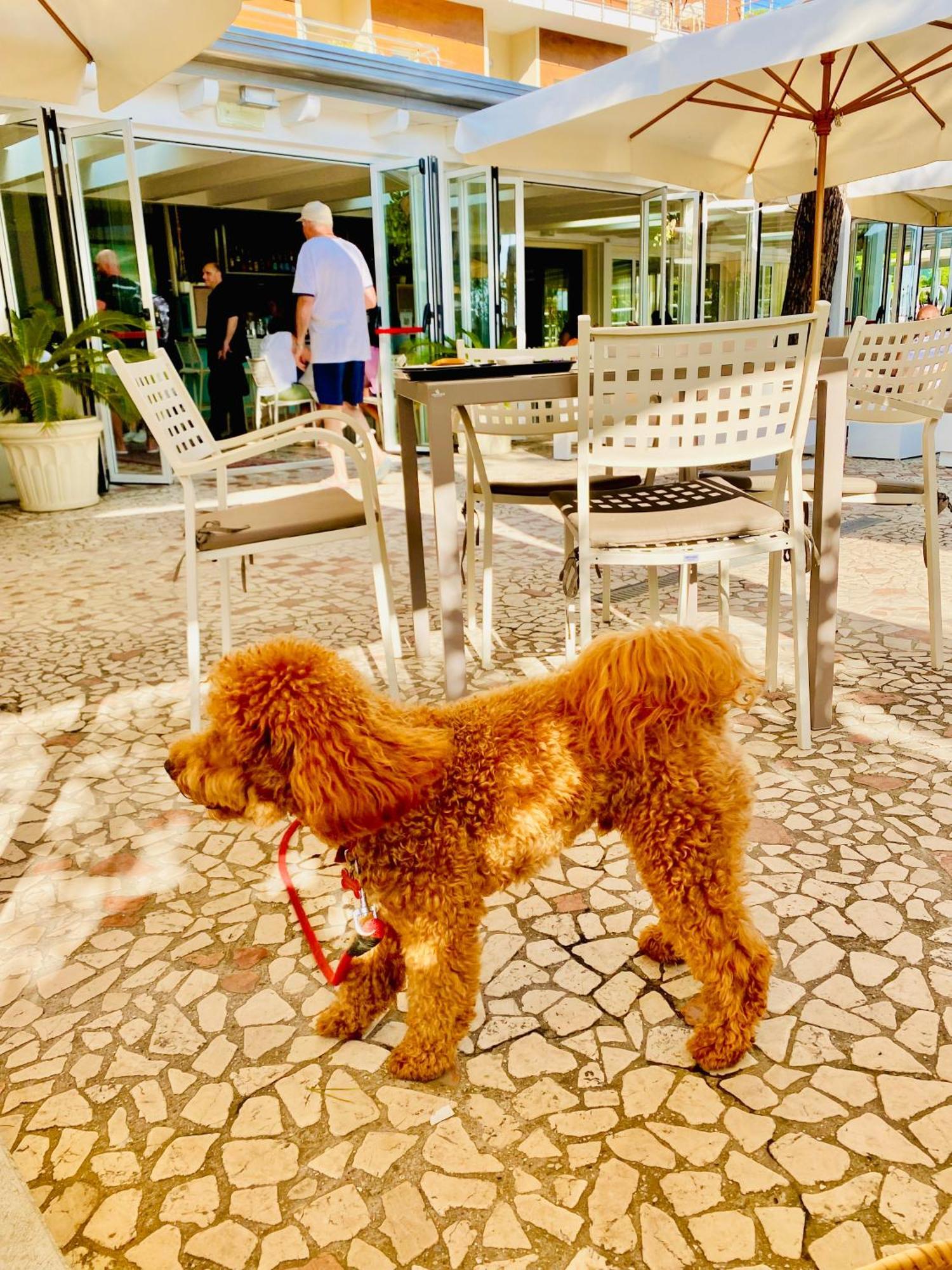 Hotel Franca Milano Marittima Eksteriør billede